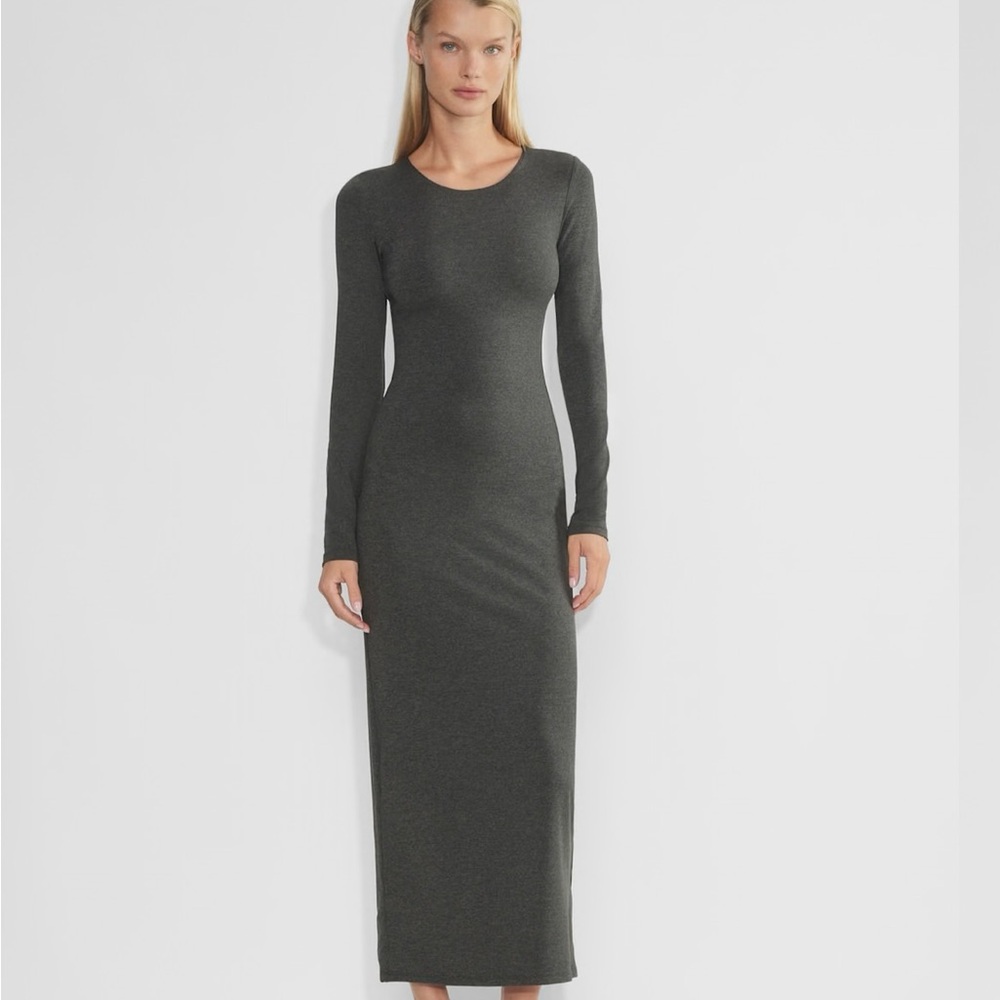 NWT Aritzia Long Sleeve Maxi Dress